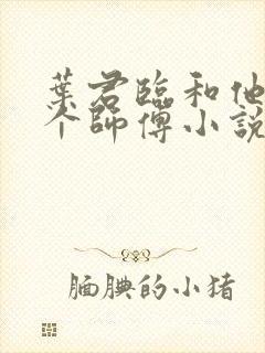 叶君临和他的九个师傅小说