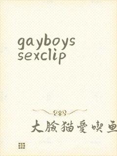 gayboyssexclip