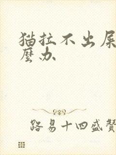 猫拉不出屎尿怎么办