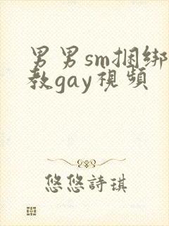 男男sm捆绑调教gay视频