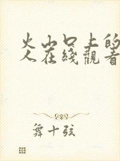 火山口上的两个人在线观看