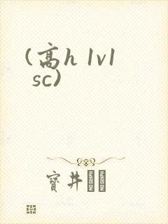 (高h 1v1 sc)