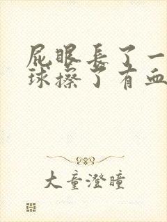 屁眼长了一个肉球擦了有血封面