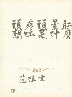 头疼头晕肚子疼想吐是什么原因