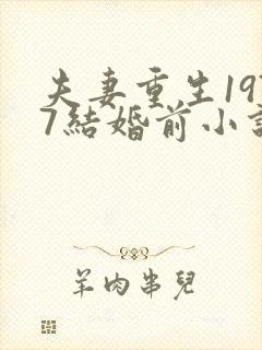 夫妻重生1977结婚前小说封面