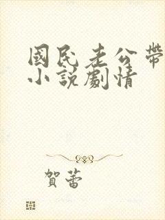 国民老公带回家小说剧情