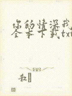 你的情深我不配全本下载txt封面