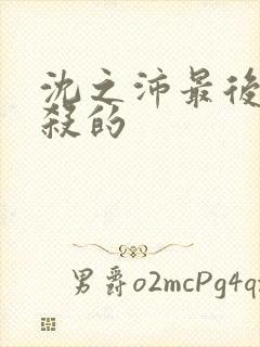 沈之沛最后被谁杀的