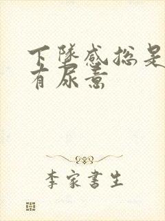 下坠感总是感觉有尿意封面