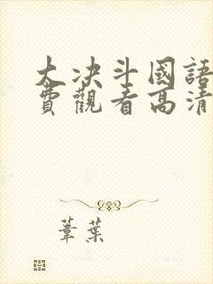 大决斗国语版免费观看高清