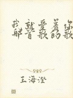 我就爱着你,是哪首歌的歌词