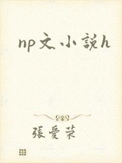np文小说h