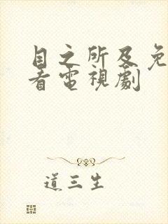 目之所及免费观看电视剧