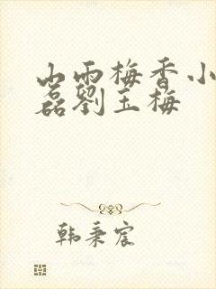 山雨梅香小说赵磊刘玉梅