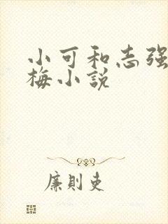 小可和志强,阿梅小说