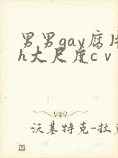 男男gay腐片h大尺度cⅴ小蓝