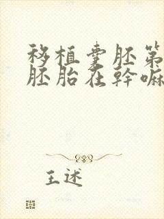 移植囊胚第六天胚胎在干嘛封面