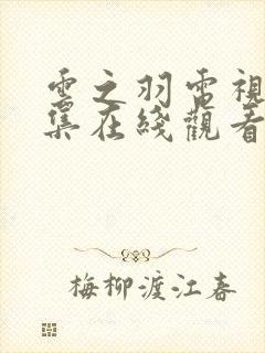 云之羽电视剧全集在线观看完整版免费封面