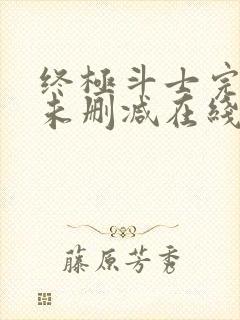 终极斗士完整版未删减在线免费观看封面