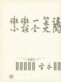 微微一笑很倾城小说全文阅读