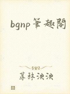 bgnp笔趣阁
