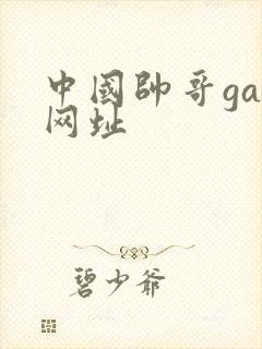 中国帅哥gay网址