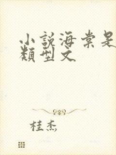 小说海棠是什么类型文