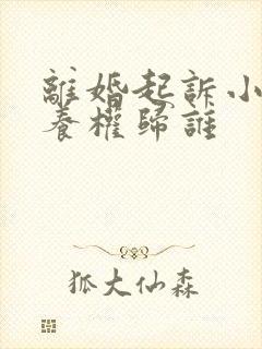 离婚起诉小孩抚养权归谁