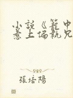 小说《笼中雀:惹上偏执兄长逃不掉》