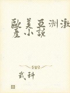 欧美亚洲激情国产小说