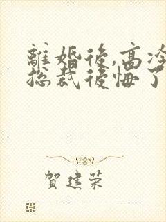 离婚后,高冷女总裁后悔了小说封面