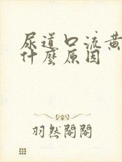 尿道口流黄脓是什么原因