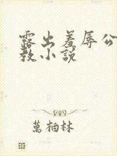 露出羞辱公开调教小说封面