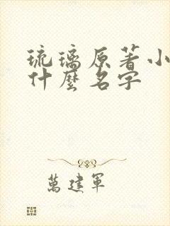 琉璃原著小说叫什么名字