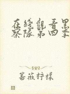 在线观看黑袍纠察队第四季