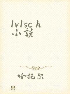 1v1sc h小说