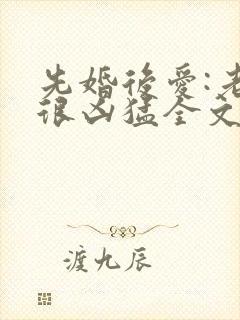 先婚后爱:老公很凶猛全文免费阅读