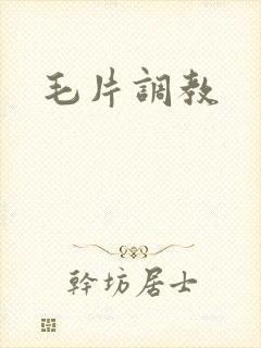 毛片调教
