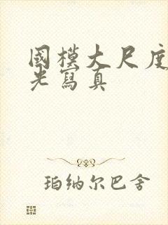 国模大尺度无圣光写真