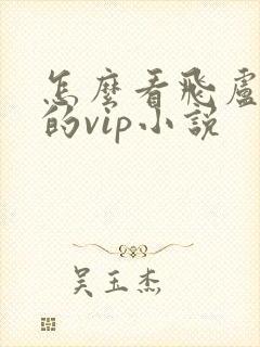 怎么看飞卢小说的vip小说