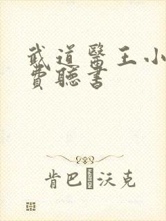 武道医王小说免费听书