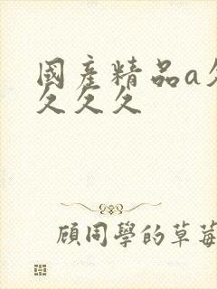 国产精品a久久久久久