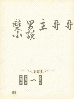 双男主哥哥弟弟小说