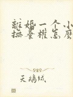 离婚一个小孩子抚养权怎么判定封面