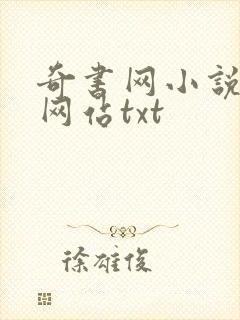 奇书网小说下载网站txt