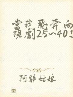 当我飞奔向你电视剧25~40集免费封面