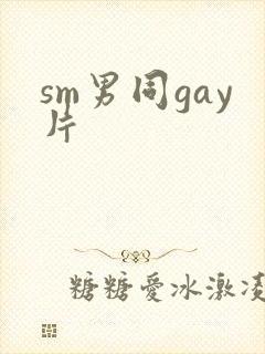 sm男同gay片