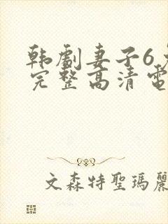 韩剧妻子6免费完整高清电视剧在线看中文封面