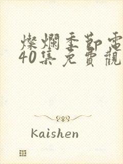 灿烂季节电视剧40集免费观看高清
