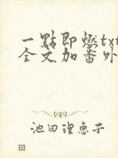 一点即燃txt全文加番外
